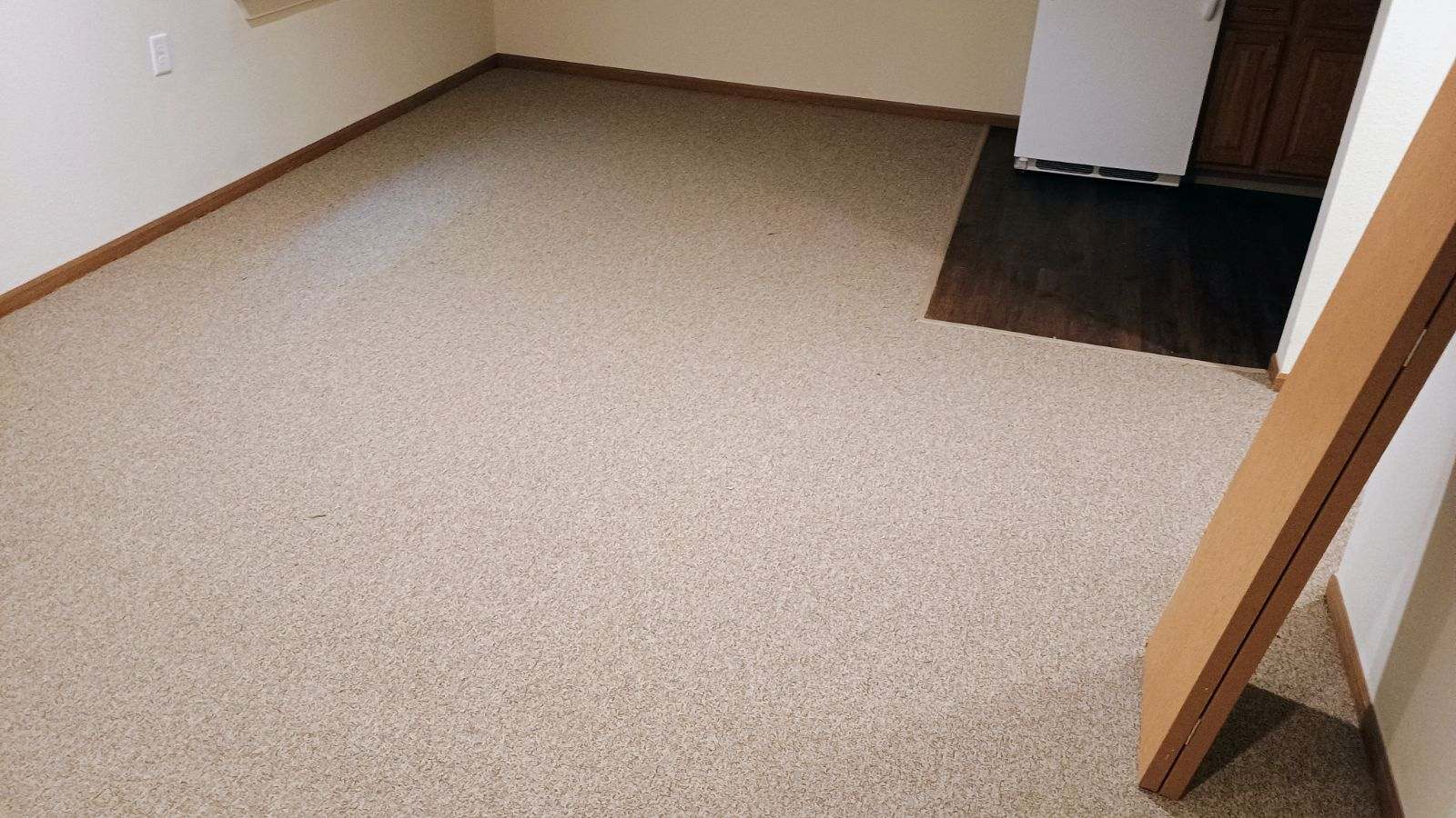 Indoor Carpet